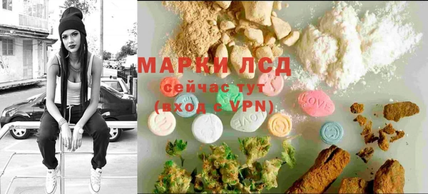 мяу мяу мука Пролетарск