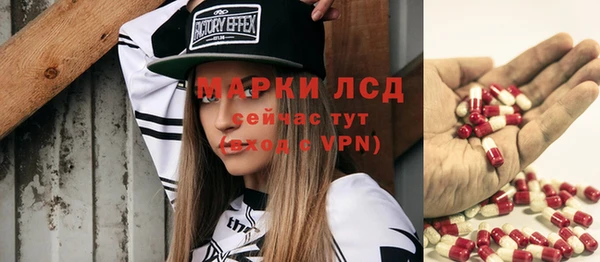 мяу мяу мука Пролетарск